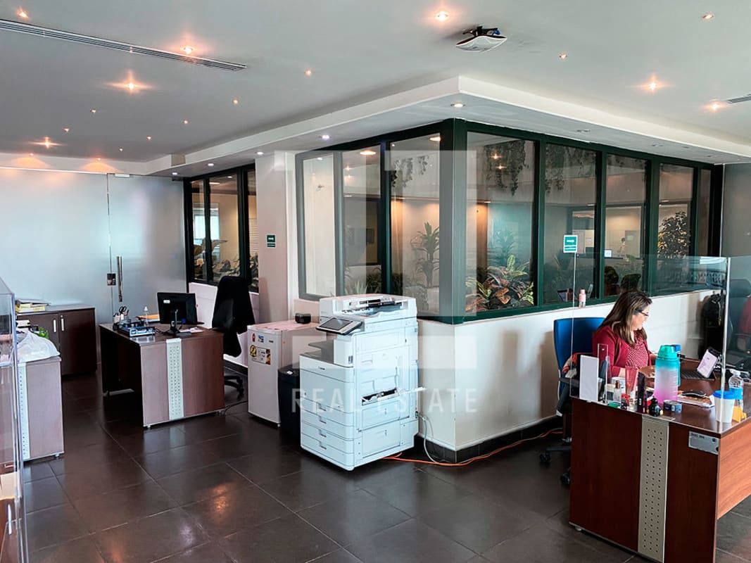 Partitioned corporate workspace with glass dividers and modern furnishings in Obarrio Business Tower Panama City