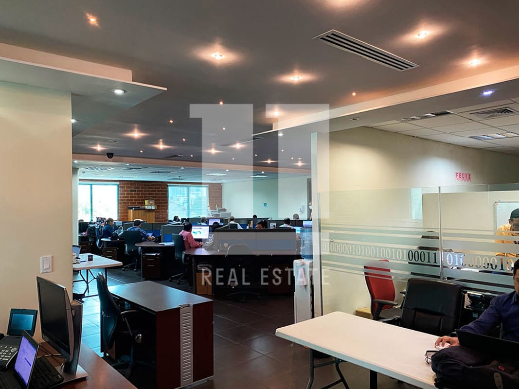 Open plan workspace with cubicles, glass partitions and plenty of lighting in PH Obarrio Business Tower Panama