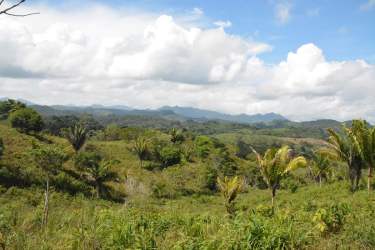 Undulating hills, green landscape and open fields on estate land in Panama Oeste