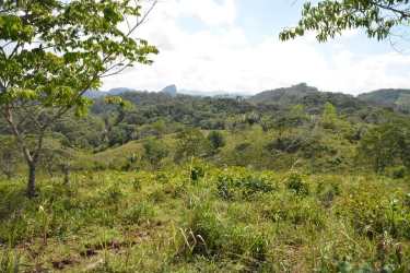 Open grassy land with mountain backdrop on 30 hectare estate Capira Panama
