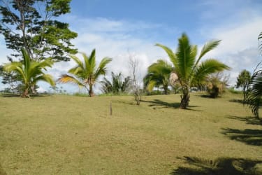 Scenic rural landscape with hills, trees, and blue sky in Capira Panama property