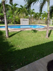 Large open backyard with lawn, mature trees at San José vacation rental Panama countryside