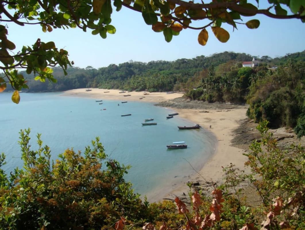 Contemporary bathroom walk-in glass shower large window over lush garden Isla Saboga beach house Panama