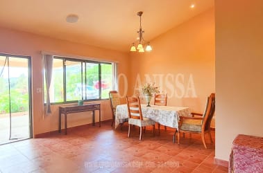 Large living room with sofas and garden views in Altos del María Panama