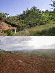 Grassy slope with scattered trees panoramic countryside Mariato Panama