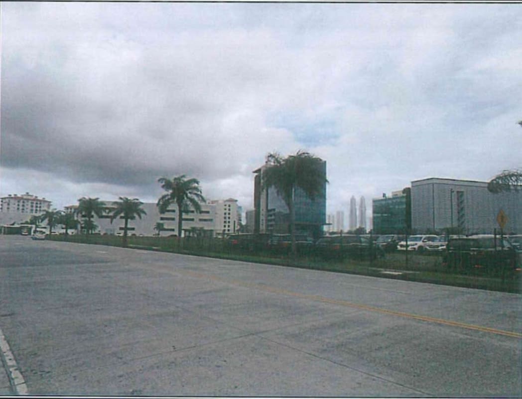 Paved commercial road with palm trees and modern offices at Santa Maria Business District