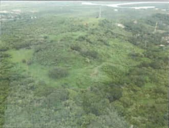 Natural wooded sections on large development land for sale near Interamericana Highway in Bejuco Panama