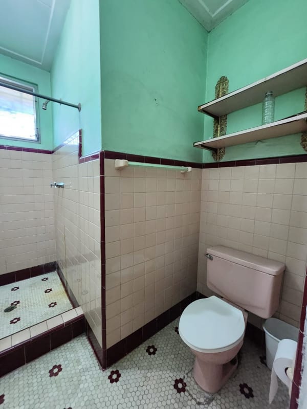 Vintage mint green and pink bathroom with walk-in shower Parque Lefevre Panama City