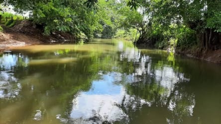 Natural river meandering through lush forested farmland in Renacimiento district Chiriquí Panama