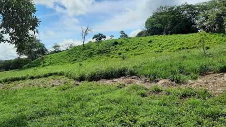 120 Hectare Cattle Farm with River in San Lorenzo Chiriquí