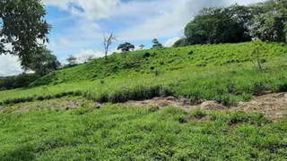 Land / Farmland for Sale in San Lorenzo - 0 bedrooms