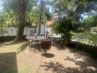 Lush green lawn and tropical garden with palm trees in Coronado beach residence