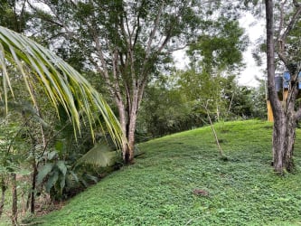 Tropical wooded land with ocean views for sale in Panama Santa Catalina