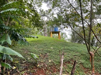 Elevated land with private water tank and dense vegetation for sale in Santa Catalina