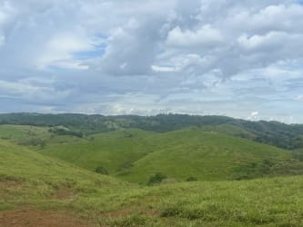 2,400,000 m2 Ranch-Farm Land with Riverfront in La Arenosa Chorrera