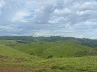 Farm / Ranch Land for Sale in La Arenosa - 2 bedrooms