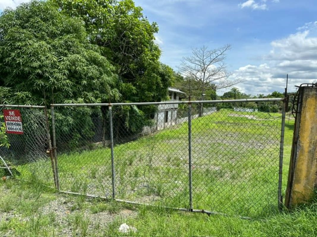 Open grassy fenced land with for sale sign and trees in Los Pilones Altos de Tocumen Panama