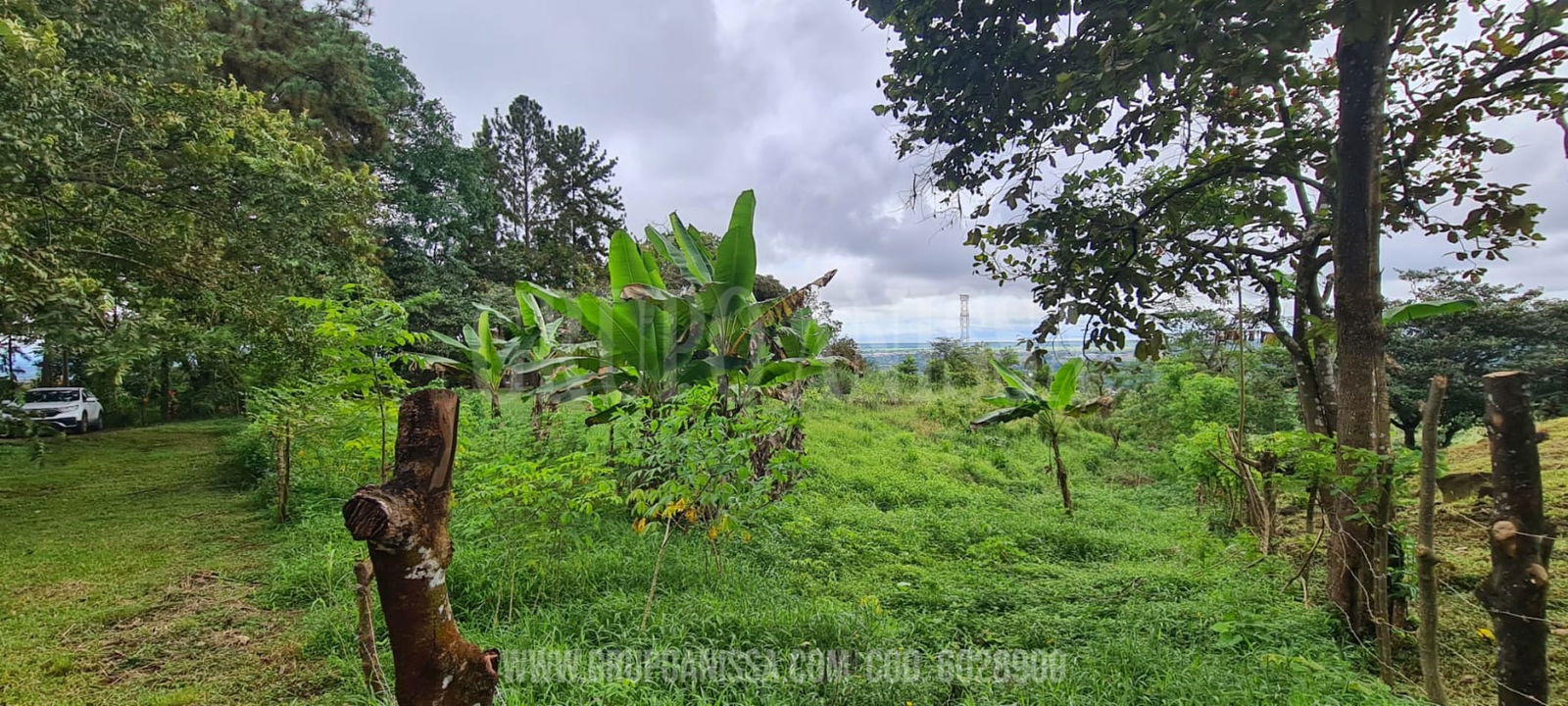 Large country land with mature trees and green vegetation mountain view Panama