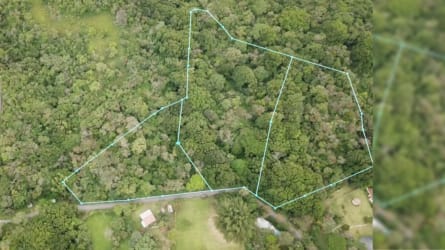 Forested natural land with dense trees El Chirú Coclé