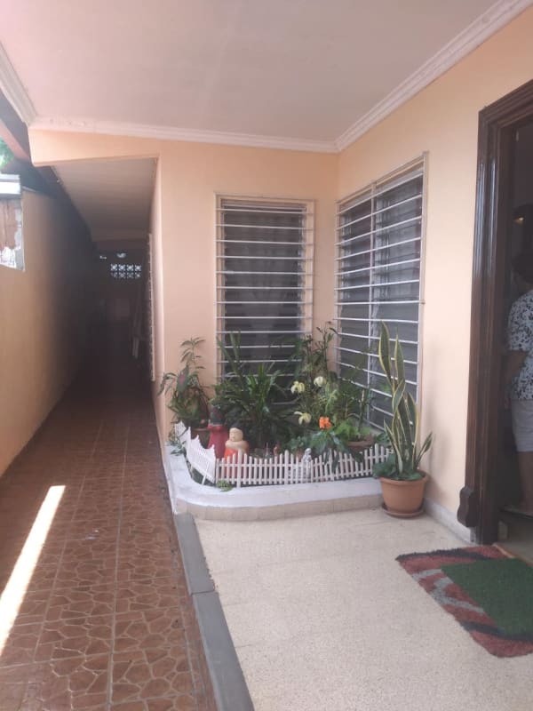 Exterior walkway with garden area, security-barred windows, covered patio family house Altos de Panamá for sale