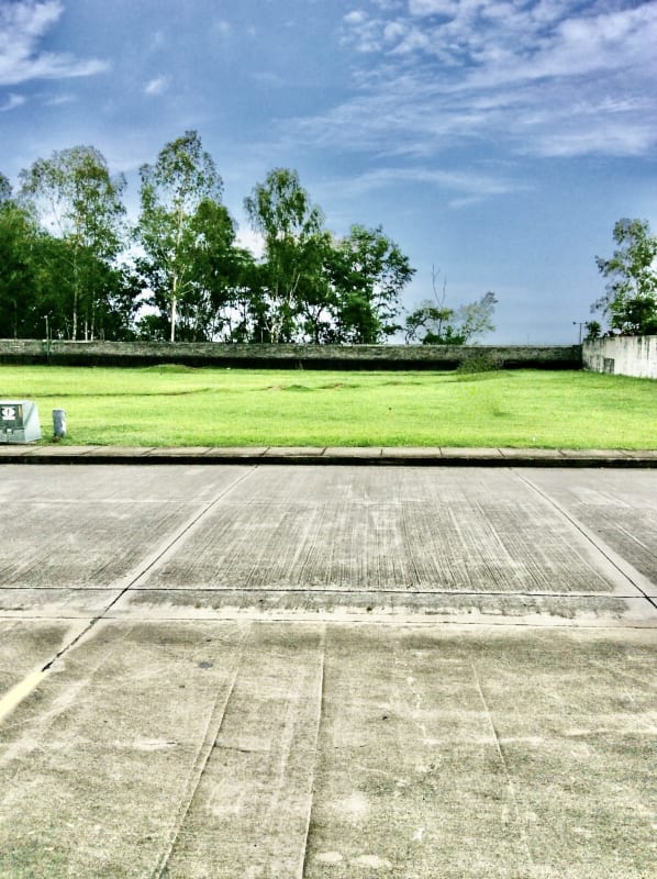 Vacant lot with palms near seafront luxury houses in Costa del Este Panama