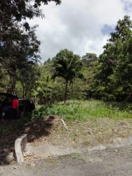Paved road access with dense trees and mountain backdrop at Altos del María