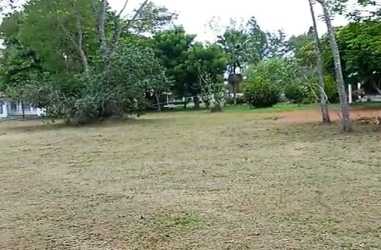 Open land with mature trees suitable for development in David Chiriquí Panama