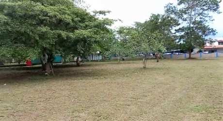 Vacant green land plot flat terrain in a suburban area of David Chiriquí