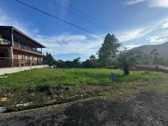 Large residential mountain lot in La Toscana Altos del Maria for sale - trees and forest backdrop