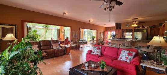 Spacious open plan living dining room with large windows, tile floors and garden views