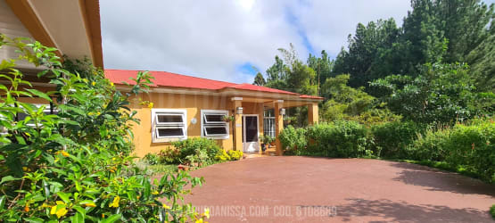 Freeform private swimming pool surrounded by lush gardens and scenic mountain views