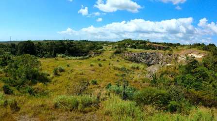 Scenic open fields trees and hills of development land in San Carlos Panama