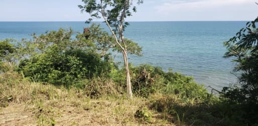Beachfront Land 1,328m² Playa Corona Panama