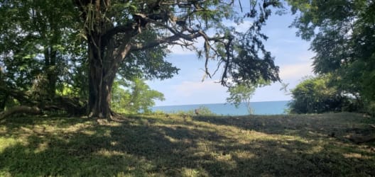 Beachfront Land for Sale Playa Corona Panama | Casa Nova Panama - View 5