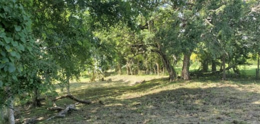 Beachfront Land for Sale Playa Corona Panama | Casa Nova Panama - View 12