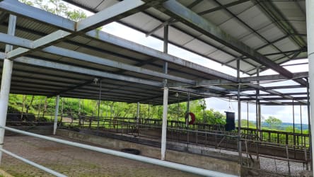 Green pasture field with mountain backdrops at Tierras Altas Volcán