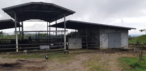Large open metal roof livestock shelter at Volcán Tierras Altas farm