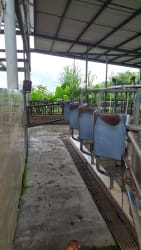 Covered barn with animal stalls and fenced corral at mountain farm Panama