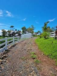 Sustainable Farm 10 Hectares with Greenhouses, Livestock Arenosa