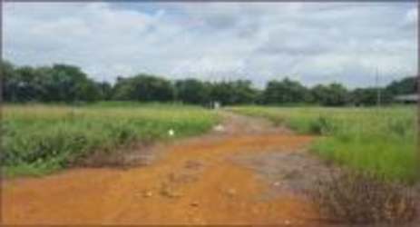 1 Hectare Development Land with Pan-American Highway Access in El Roble