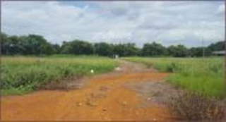 Land for Sale in El Roble - 0 bedrooms