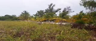 Land for Sale in Punta Chame - 0 bedrooms