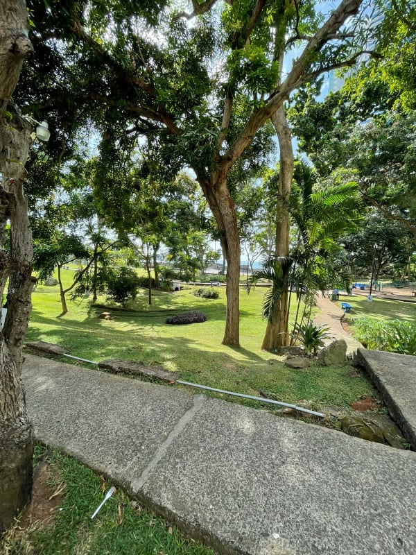 Lush Parque Paitilla adjacent to prime coastal land for sale in Panama City