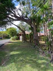 Wooded vacant land lot featuring flat terrain and natural water creek Valle de Antón Panama