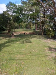 Spacious grassy lot shaded by mature trees ideal for home in Valle de Antón Panama