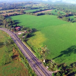 Expansive flat plot of farmland with fencing near paved road in Barú Chiriquí Panama