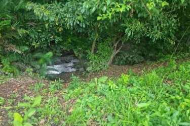 Land for sale with mountain and countryside views near Coronado shopping Panama