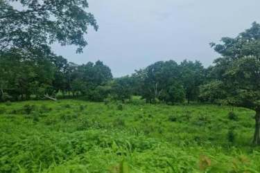 Farm estate lot near Chame airport ready for investment or swap