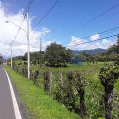 Land Lot for Sale in Chame - 0 bedrooms