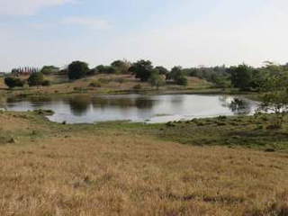 Land for Sale in El Valle - 8 bedrooms